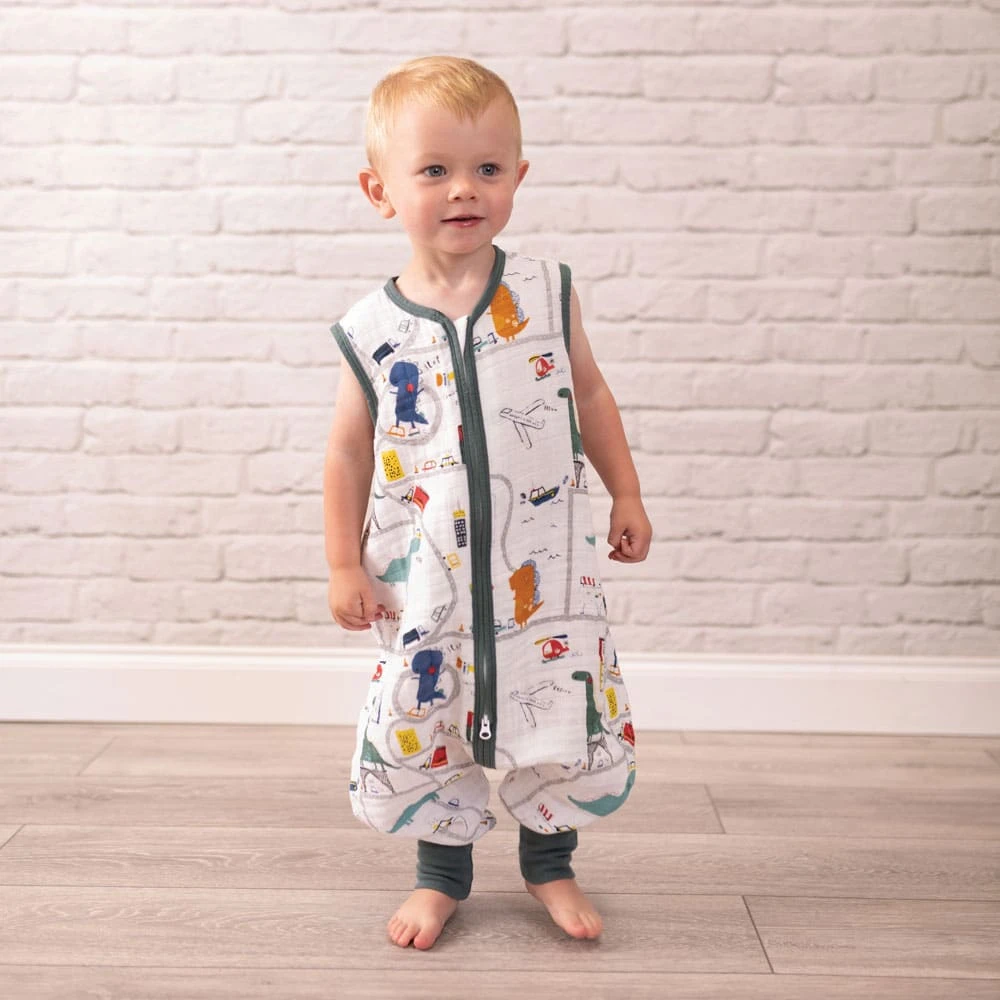 Bizzi Growin β MUSLIN ROMPER SUIT 12-24 MONTHS DINORIFFIC - Image 2